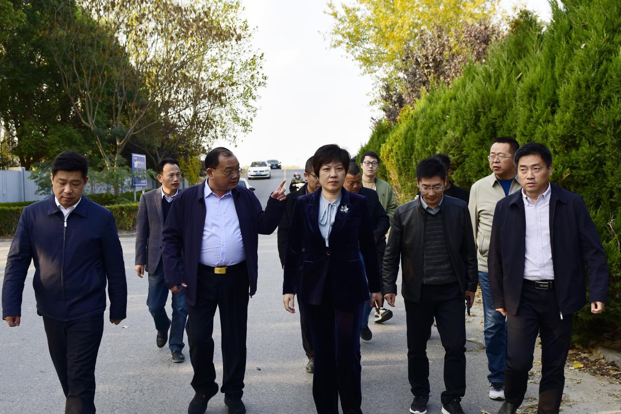 入海水道高架桥建设方案汇报会在淮海召开.jpg