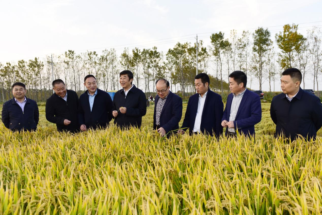 胡兆辉到淮海考察调研.jpg