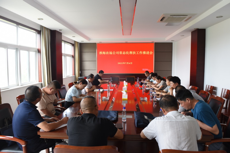 淮海农场公司召开上半年常态化帮扶工作推进会.jpg