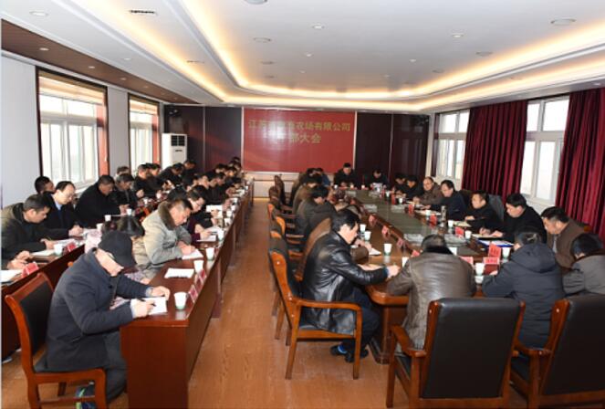 淮海传达贯彻集团公司2019年工作会议精神.jpg