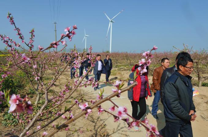 淮海农场有限公司开展职工代表巡视活动2.jpg