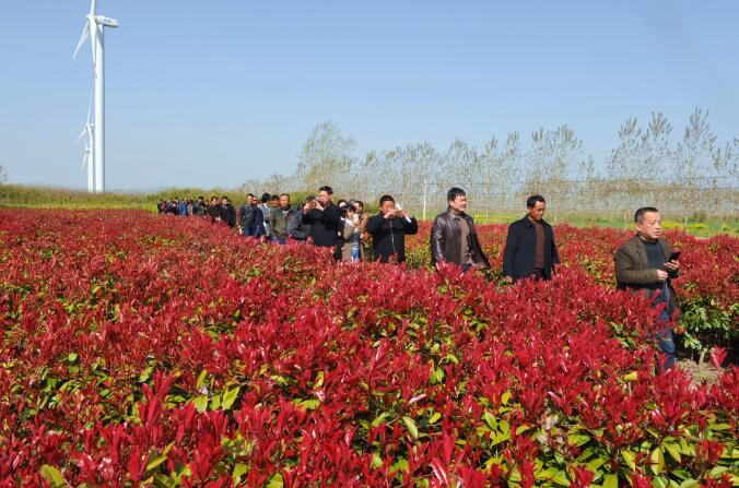 淮海农场有限公司开展职工代表巡视活动3.jpg