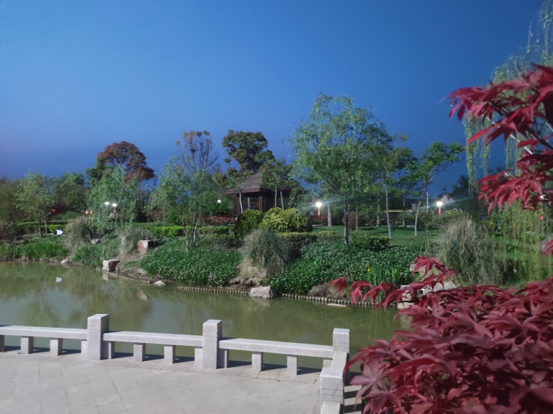 淮海:文明创建让“愿景”变“美景”.jpg