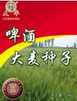 江苏省大华种业集团有限公司简介1.jpg