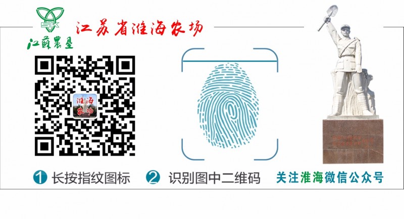 江苏省淮海农场举办第十一届广场文化节28.jpg