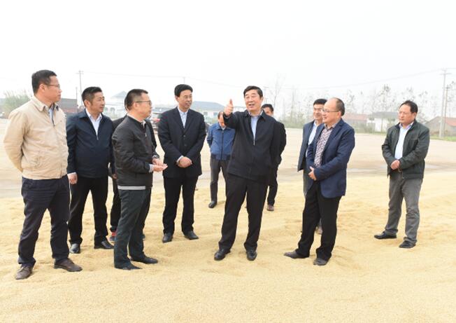 集团公司总经理胡兆辉到淮海检查指导工作1.jpg