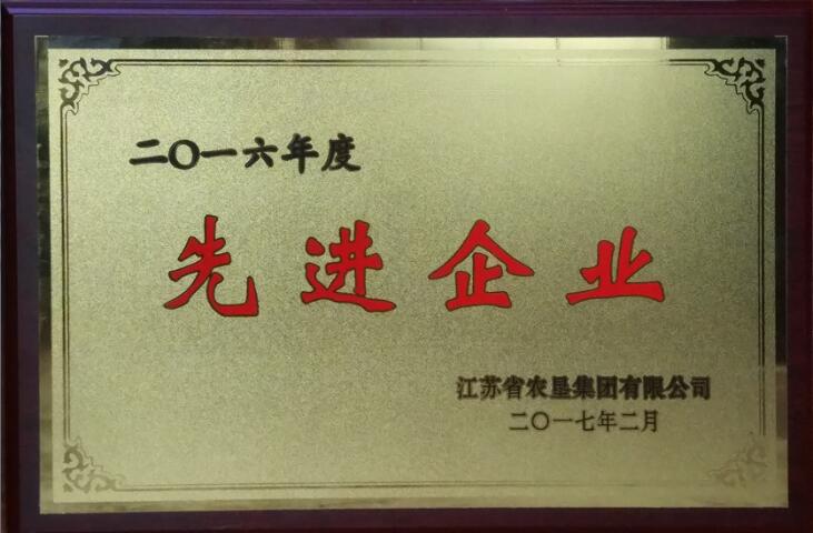 2016年度先进企业