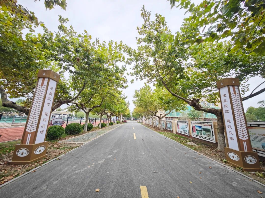 淮海更新安装路灯百余盏提升交通出行环境