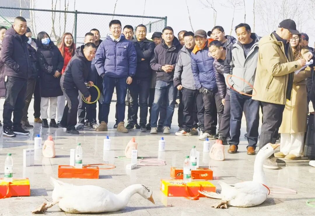 套中大鹅.jpg
